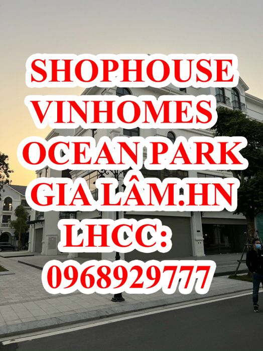 Bán căn góc shophouse TMDV Vinhomes Ocean Park Khu Sao Biển 19A