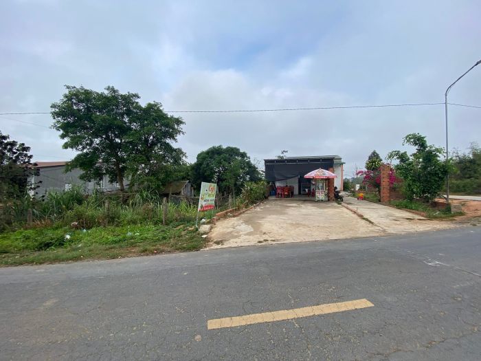 Gia đình đang muốn chuyển nhà về Bắc cần bán lô đất tại Krông Nô, huyện Lắk, tỉnh Đăk Lăk 