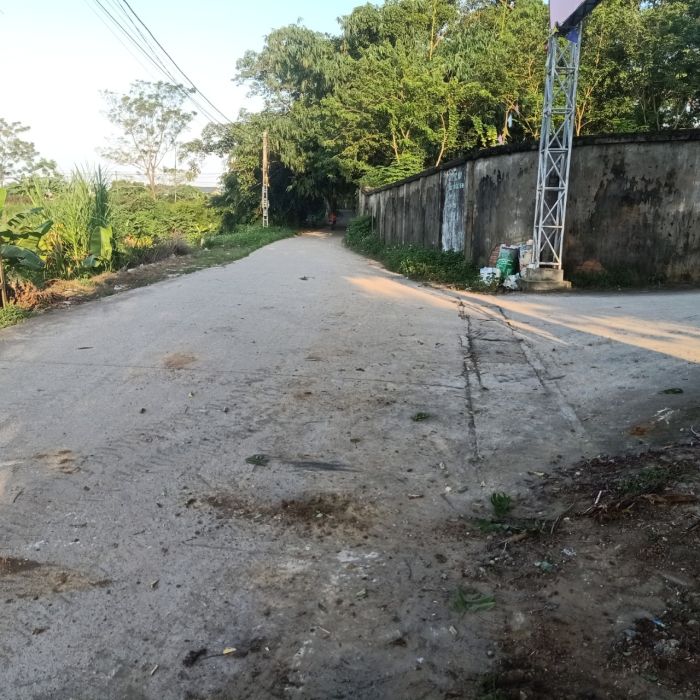 CHÍNH CHỦ CẦN BÁN LÔ ĐẤT TẠI XÃ ĐÔNG SƠN