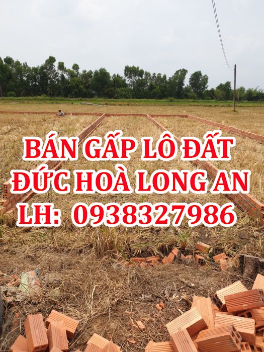 Chính chủ cần bán lô đất tại Long An